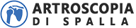 Artroscopia di Spalla